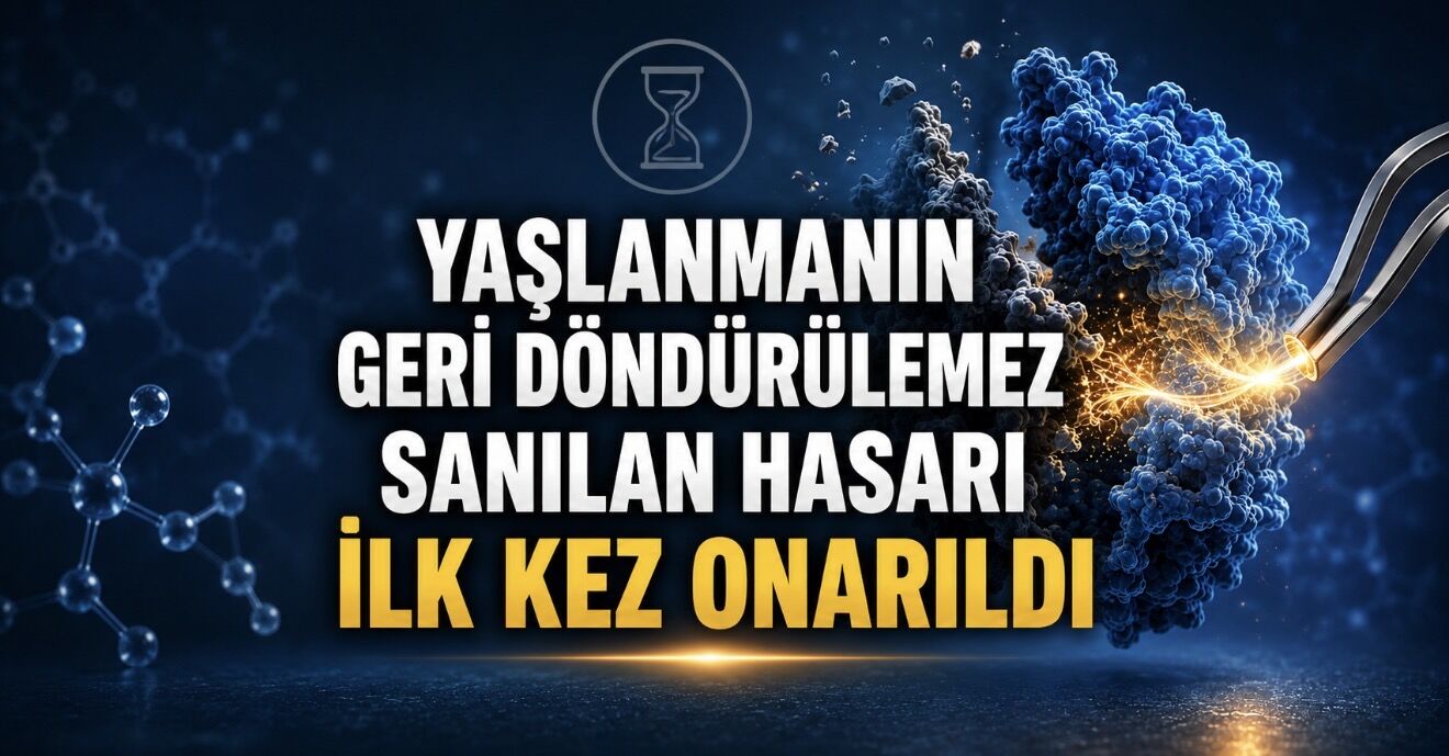 Yaşlanmanın Geri Döndürülemez Sanılan Hasarı İlk Kez Onarıldı
