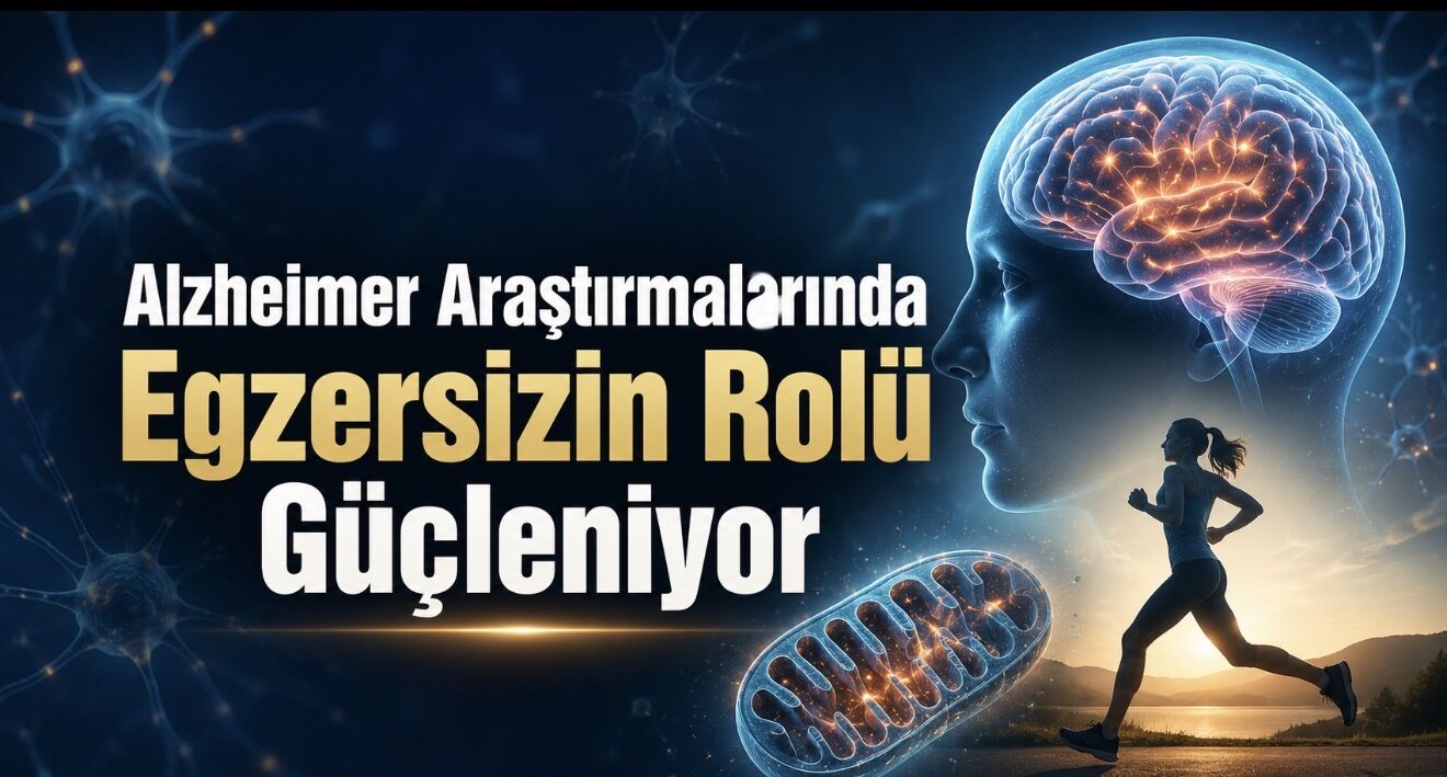 Alzheimer Araştırmalarında Egzersizin Rolü Güçleniyor