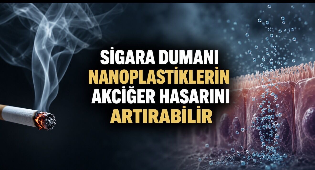 Sigara dumanı nanoplastiklerin akciğere zararını artırabilir