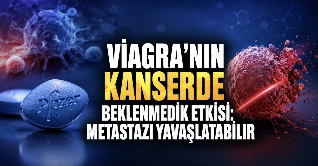 Viagra’nın Etken Maddesi Kanser Hücrelerine Karşı Yeni Bir Silah Olabilir