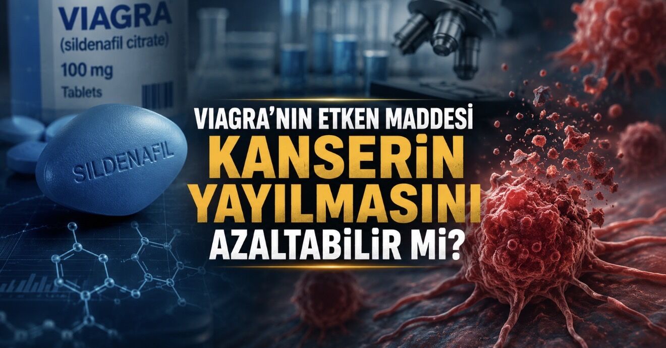 Viagra’nın Etken Maddesi Kanserin Yayılmasını Yavaşlatabilir mi? Yeni Araştırmadan Dikkat Çeken Bulgular